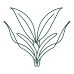 Verdalba panorámica