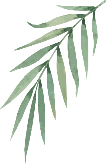 Decoración