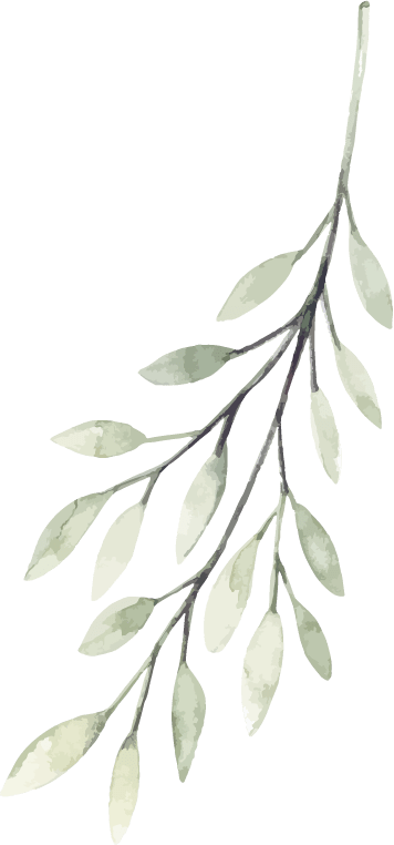 Decoración